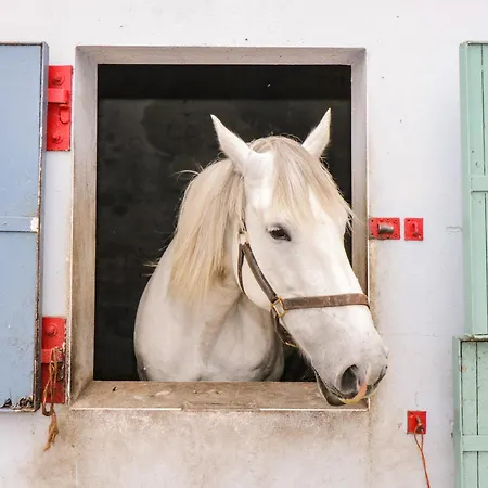 Bohans Barn Ballyglass (Crossmolina)