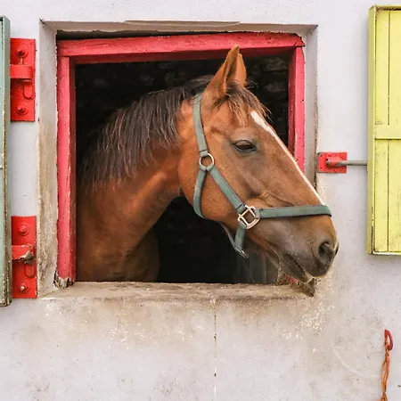 Bohans Barn Дом отдыха *