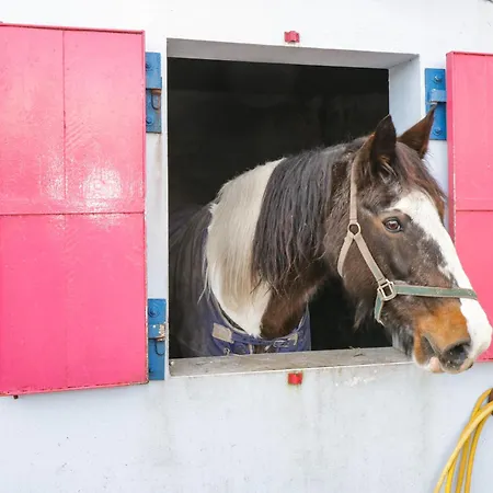 Bohans Barn Дом отдыха Ballyglass (Crossmolina)