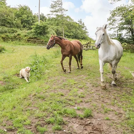 Bohans Barn Prázdninový dům