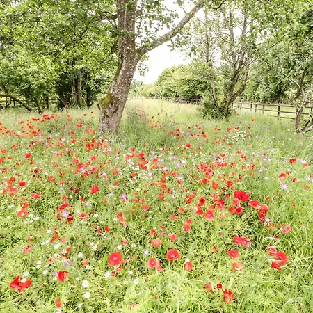Prázdninový dům Bohans Barn