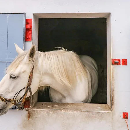 Bohans Barn Ballyglass (Crossmolina)