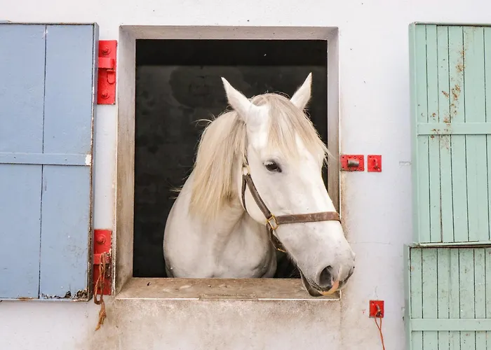 Bohans Barn Ballyglass (Crossmolina)