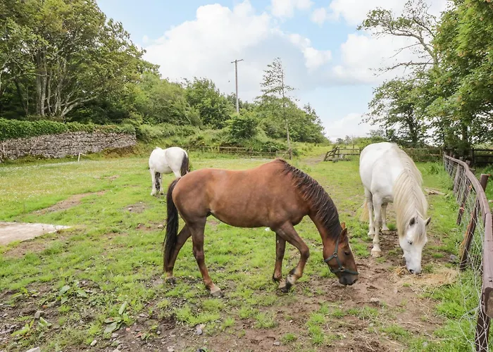 Bohans Barn Feriehus