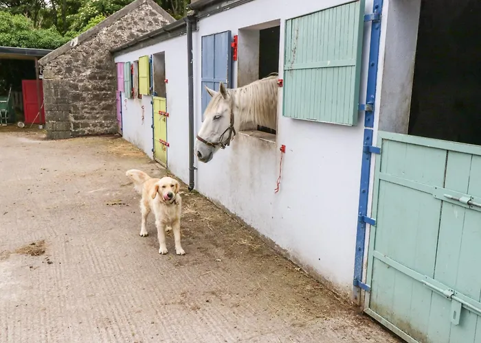 Bohans Barn Feriehus