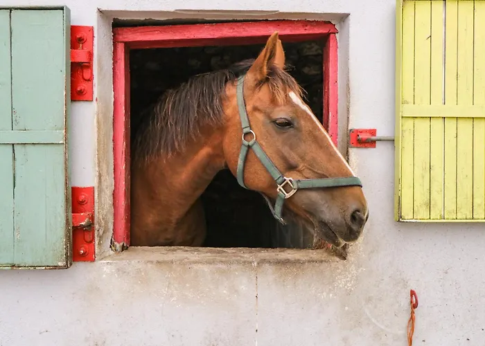 Bohans Barn בית נופש *