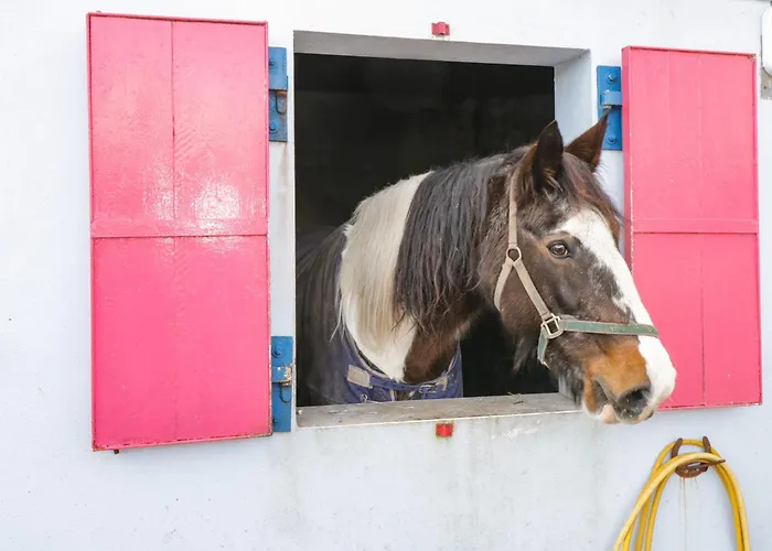 Bohans Barn Feriehus Ballyglass (Crossmolina)
