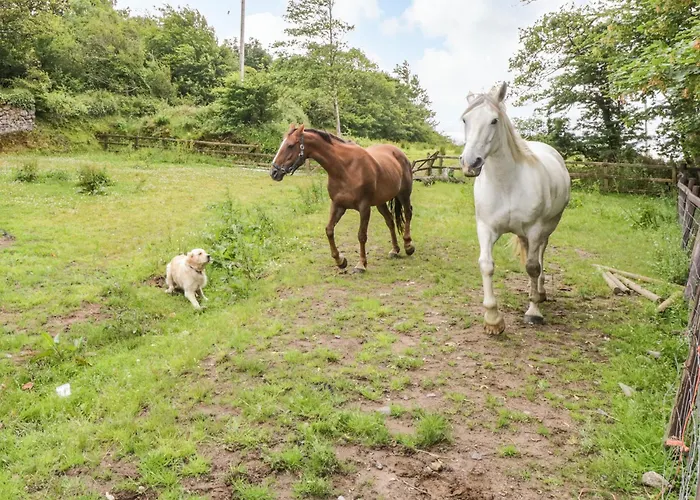 Bohans Barn Feriehus