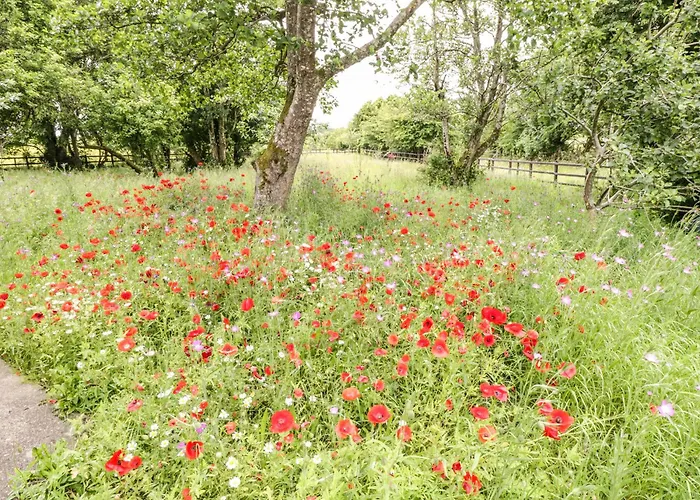 Feriehus Bohans Barn