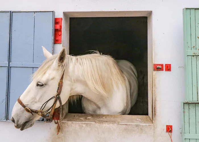 Bohans Barn Ballyglass (Crossmolina)